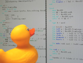 Going over some code with Mr. Duck. 